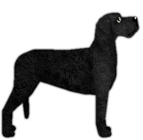 Profile image of BLOOD AND STEEL of Silent Creek