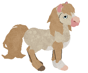 Profile image of Capriole's Comin Up Daisies at BCE