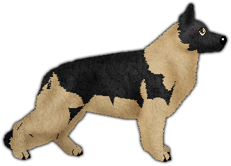 Profile image of Blizzard WILCZA DUSZA
