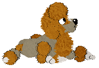 Profile image of Xoops' Calico Fifi