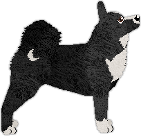 Conformation Champion: Filigree's Let Off the Leash