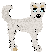 Profile image of Alohomora/King's Blank Canvas