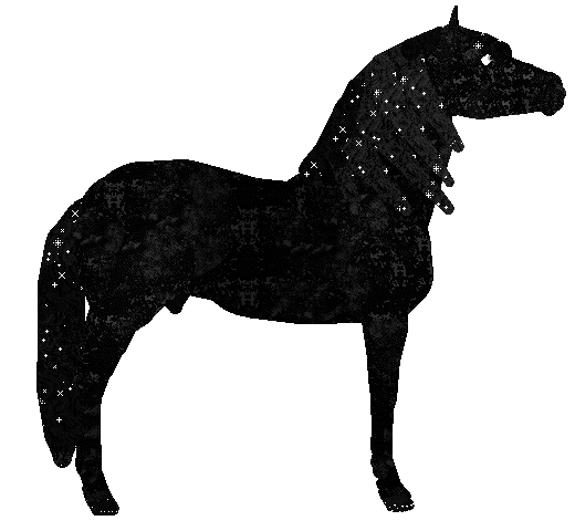 Seaglass's Stardusted Nocturne at Sakura Ridge — “Stardust”
