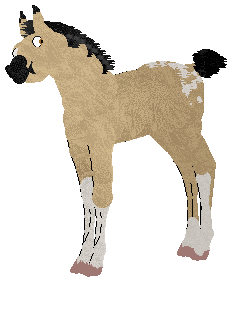 Profile image of BCE's Calamity Jane