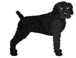 Profile image of Daisybrook's Lord of Storms z Szuwarów