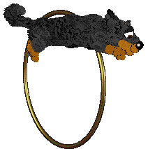 Czeko's Rurka z Kremem — “Rurka”