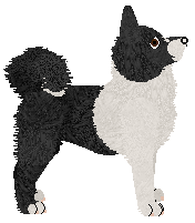 Wolf Hollow's Pohjanmaa — “Nikita”