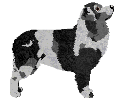 Profile image of Tarot Wayfaring Stranger