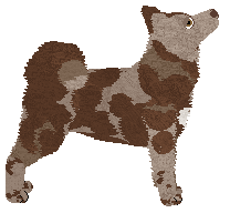 Profile image of Carousel's Patchwork Quilt