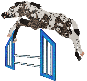 Omen's Wild Bronco of Cinquefoil — “Mavis”