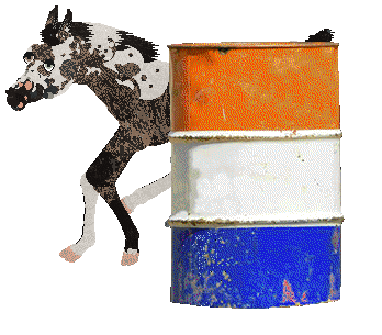 Omen's Wild Bronco of Cinquefoil — “Mavis”