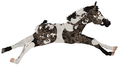 Omen's Wild Bronco of Cinquefoil — “Mavis”