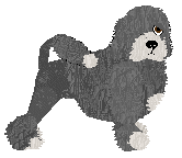 Profile image of Czeko's NADGODZINY