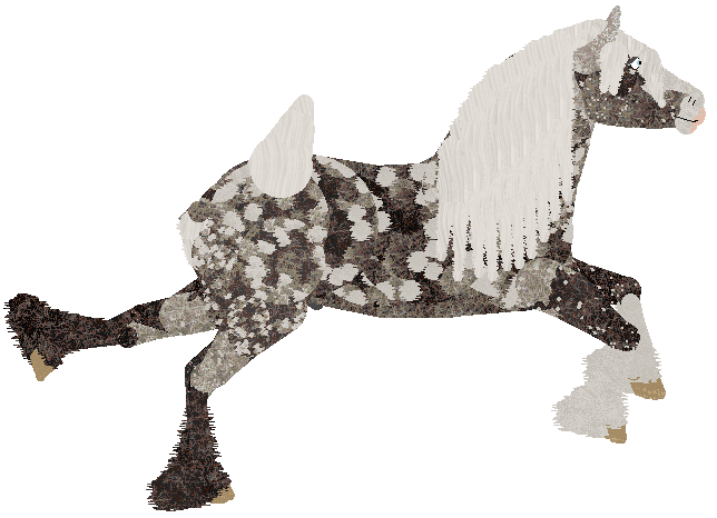 Mockingbird's Sterling Serenade at Sakura Ridge — “Sterling”