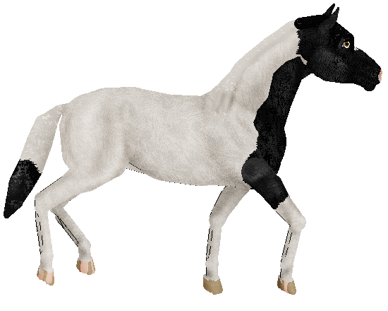 Profile image of Hard Tack's Under The Mask