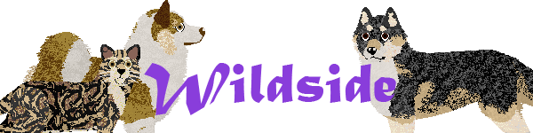 Banner for Wildside