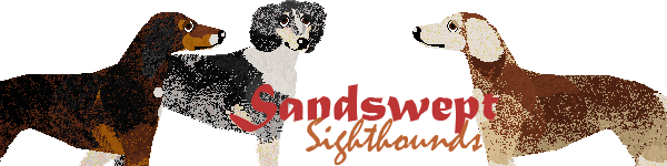 Banner for Sandswept