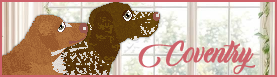 Banner for Coventry