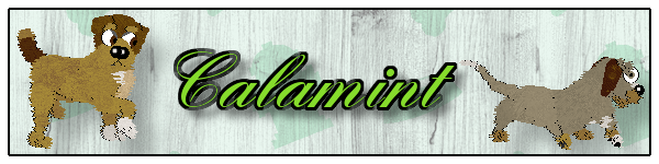 Banner for Calamint