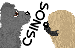 Banner for Csinos