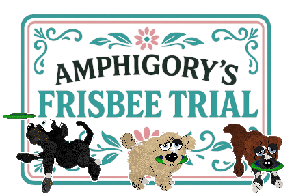 Show banner