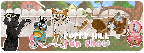 Show banner