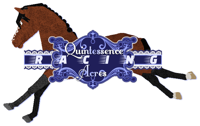 Show banner