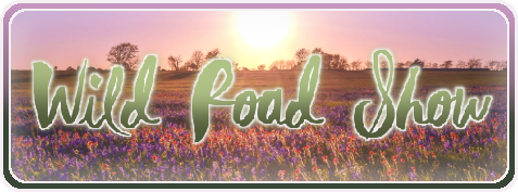Show banner