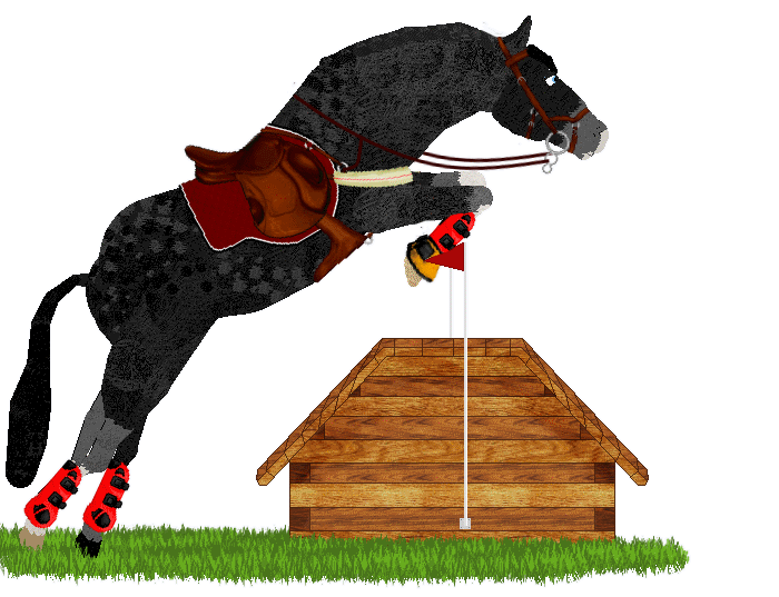 Show banner