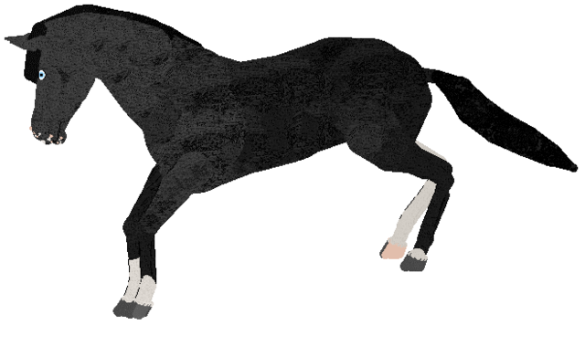Show banner