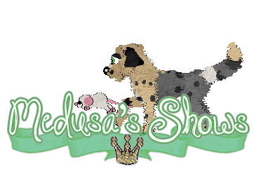 Show banner