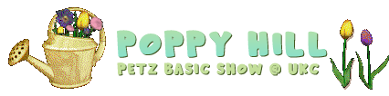 Show banner