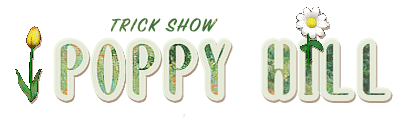Show banner