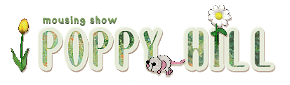 Show banner