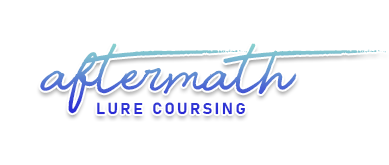 Show banner