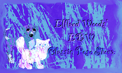 Show banner