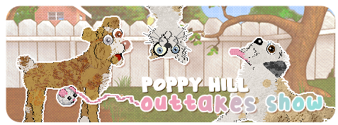 Show banner
