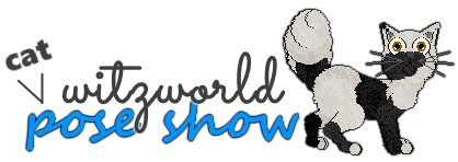 Show banner
