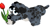 Show banner