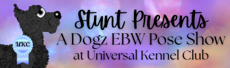 Show banner