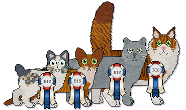Show banner