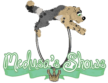 Show banner