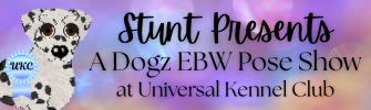 Show banner