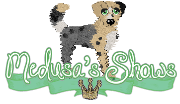Show banner