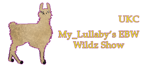 Show banner