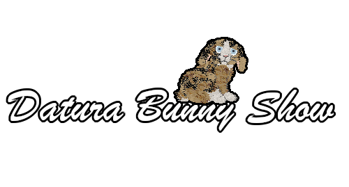 Show banner