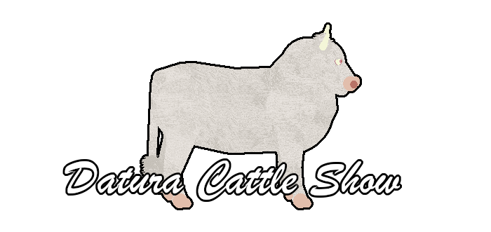 Show banner