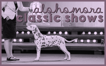Show banner