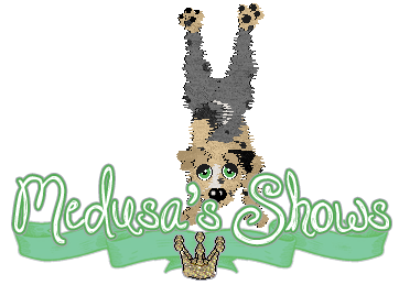 Show banner