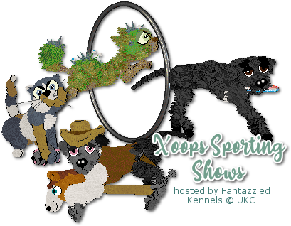 Show banner